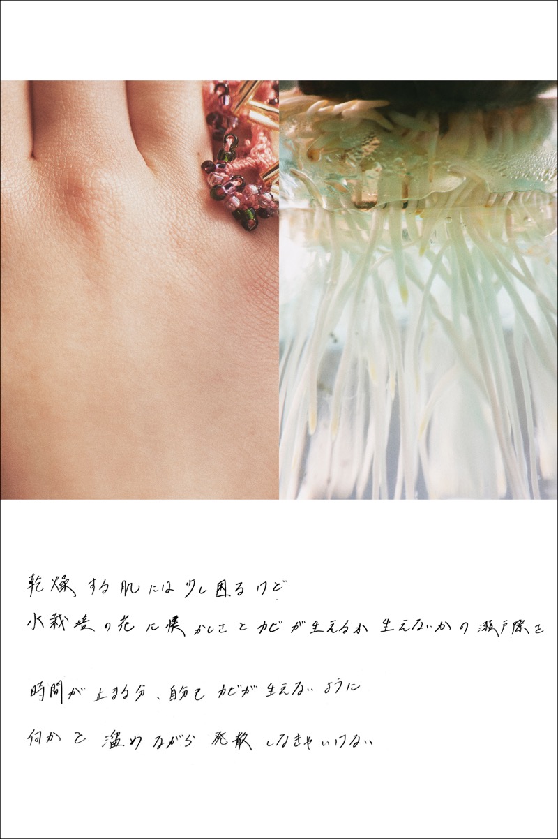 Da Capo "G" Knit artist SEi & Photographer Ebara Shotaro