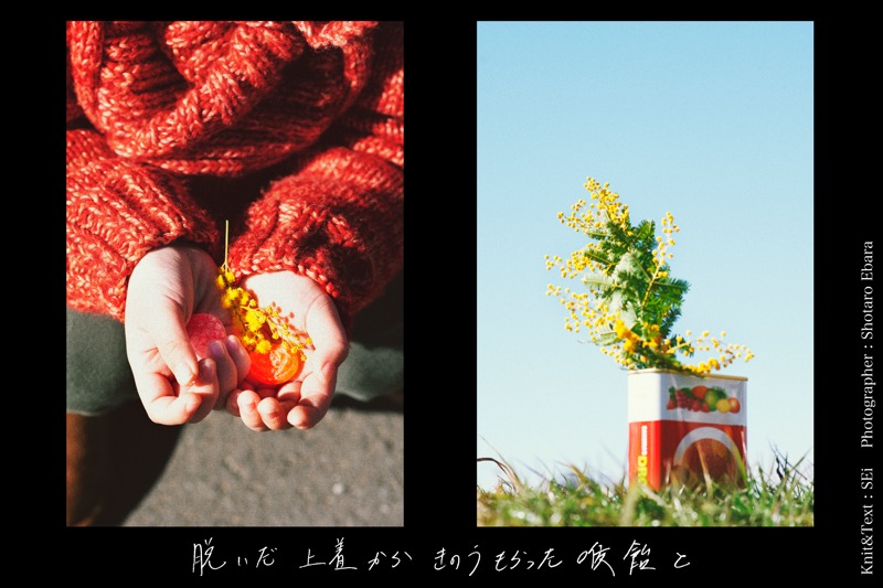 Da Capo "G#" Knit artist SEi & Photographer Ebara Shotaro